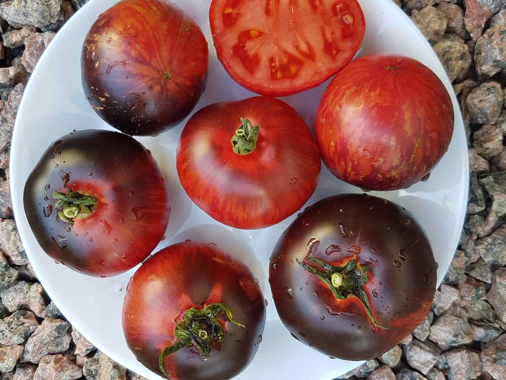 Pomme D’or De Saint-Jean-de-Beauregard